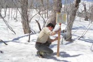 残雪期の至仏山で利用可能エリアの看板を設置