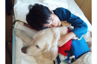 ファシリティドッグは、子ども達にとっては「犬」ではなく、病気を一緒に闘う「しっぽの生えた仲間」