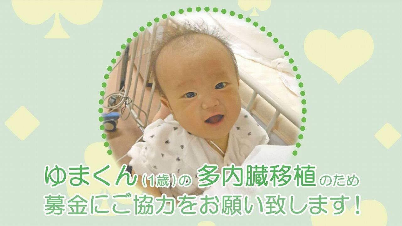 [ゆまくん（1歳）を救うためにご支援をお願いいたします！]の画像
