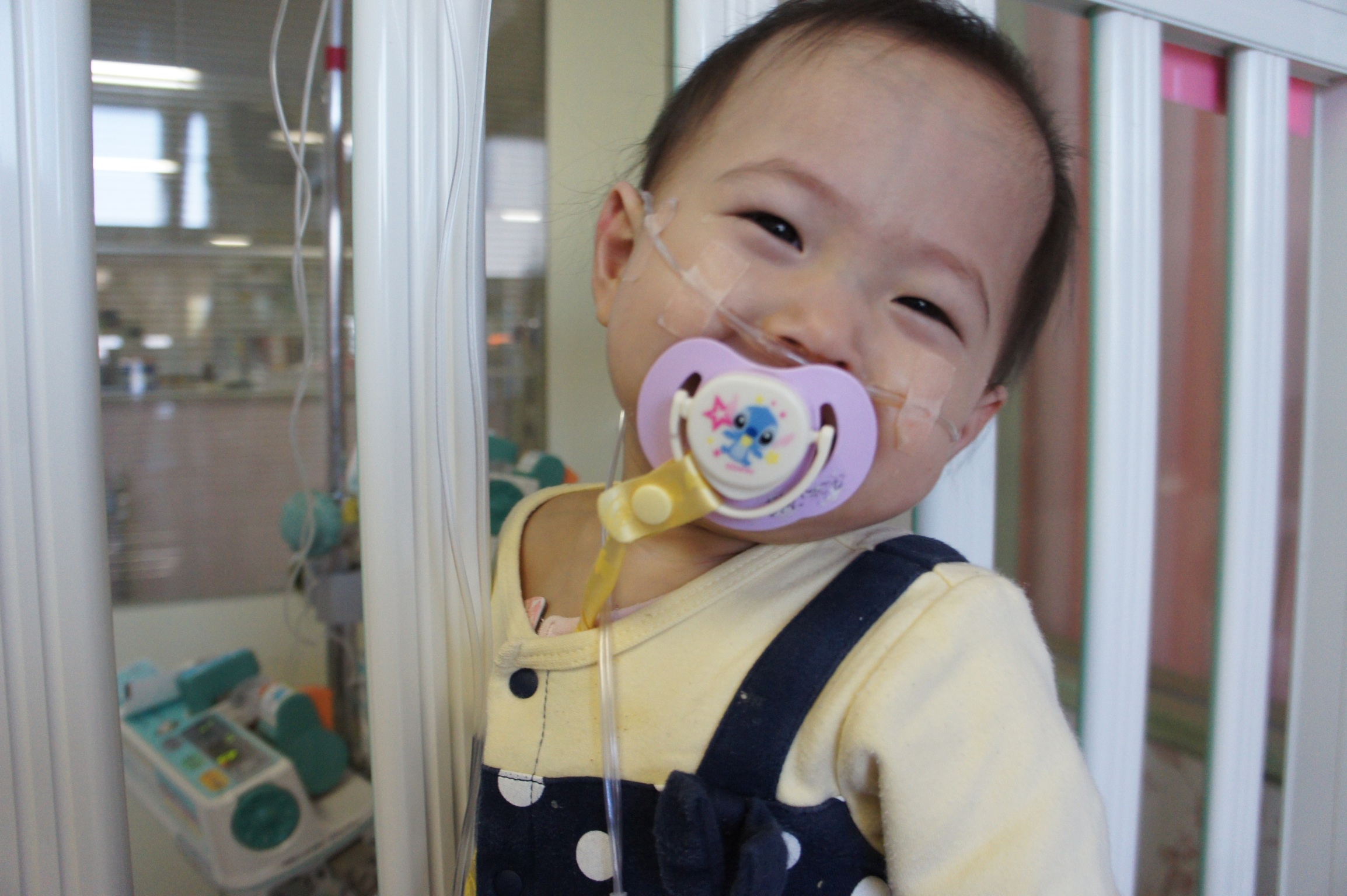 [100万人に1人の難病と闘うすずかちゃん（1歳7カ月）に肺移植を！]の画像