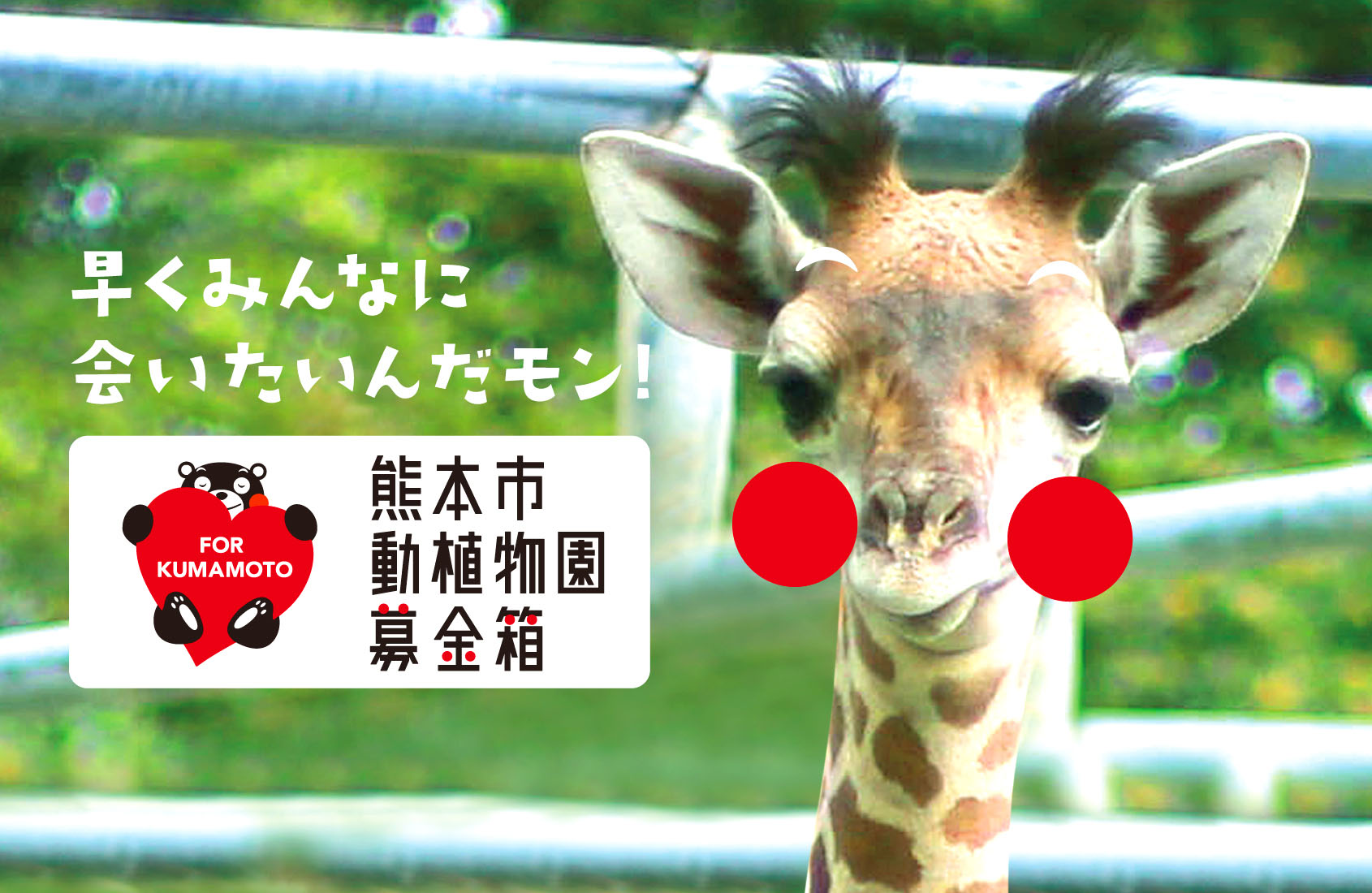 [子どもたちの夢と教育の場「熊本市動植物園」にご支援を！！]の画像