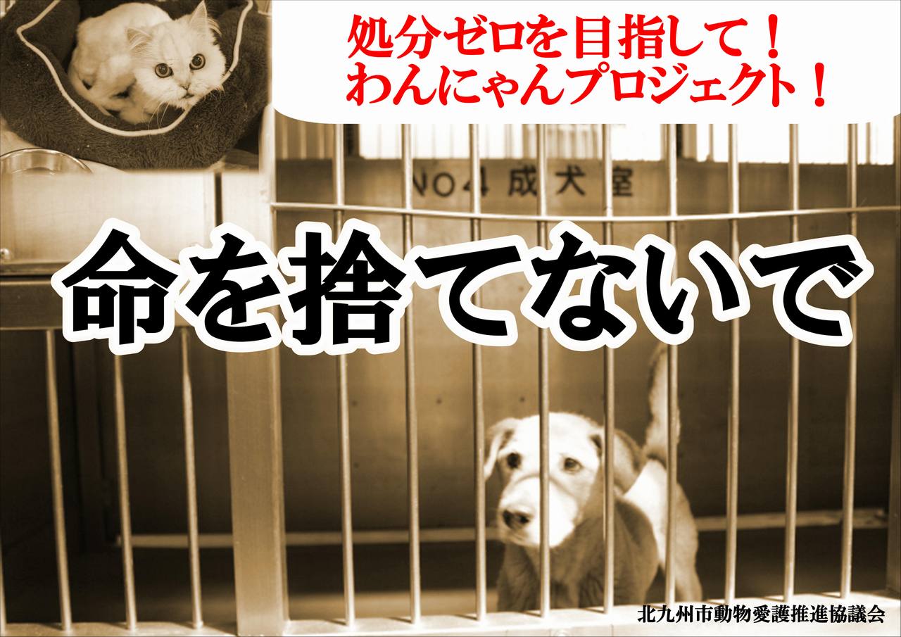[処分ゼロを目指して！　わんにゃんプロジェクト！]の画像