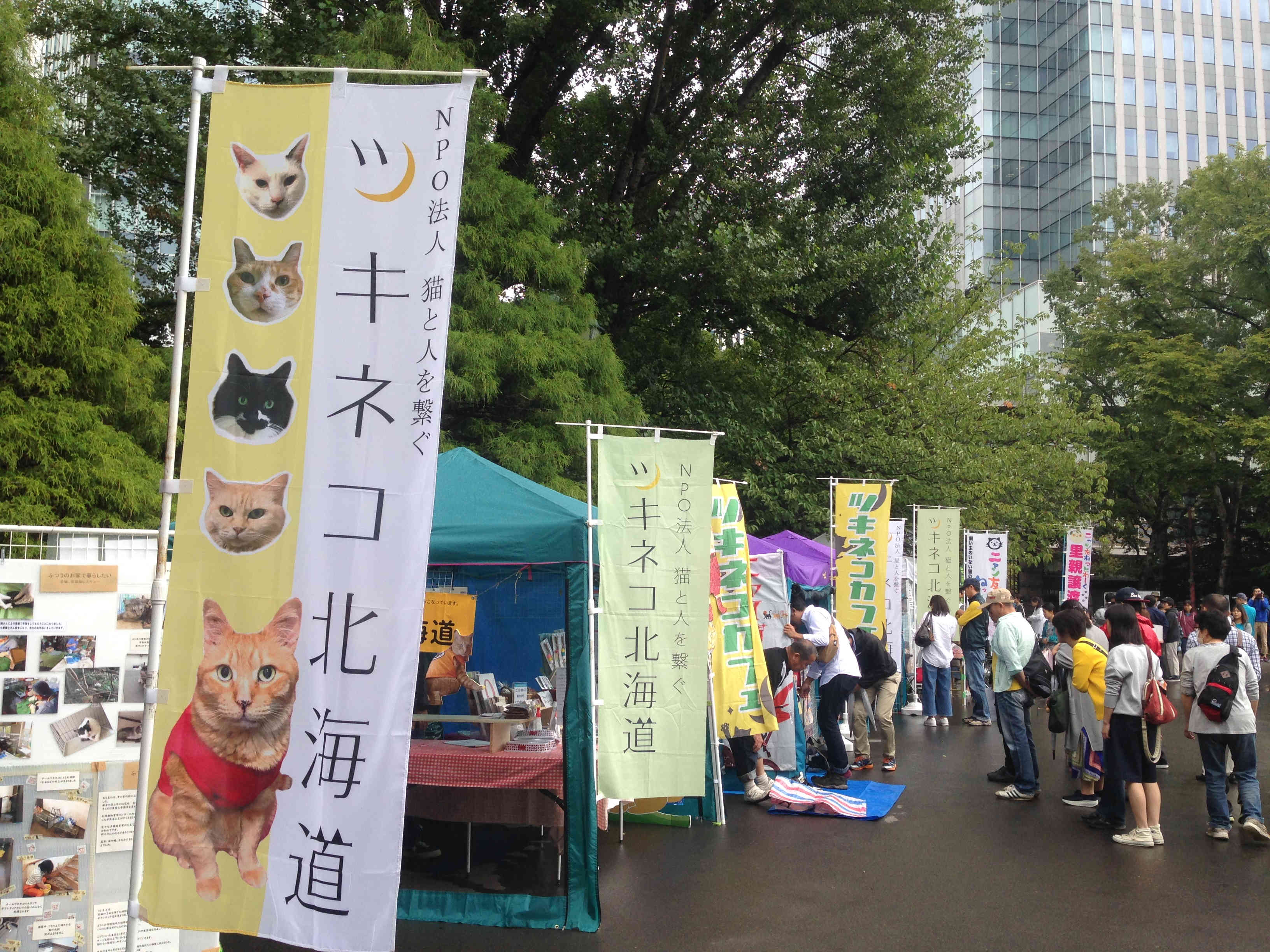 不幸な猫を減らし全ての猫に幸せを！ 北海道発の保護型猫カフェ 