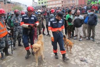 [ネパール地震・緊急募金（ピースウィンズ・ジャパン）]の画像