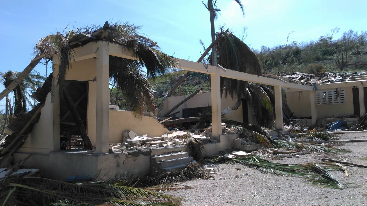 [ハイチハリケーン被災者支援・緊急募金（ピースウィンズ・ジャパン）]の画像