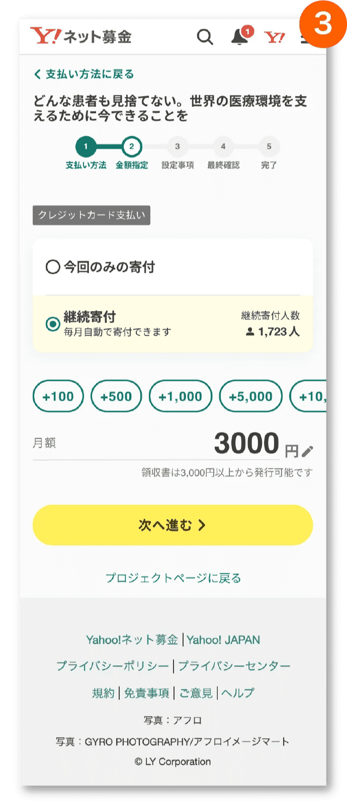 寄付金額を選択いただき「次へ進む」を押下してください。