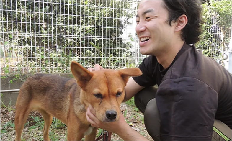 犬と猫のためのライフボート