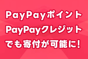 Yahoo!ネット募金 - PayPay、クレジットカード、Vポイントで手軽