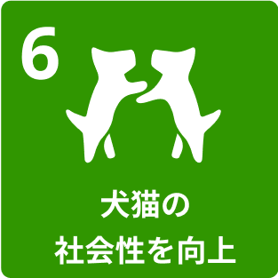 6.犬猫の社会性を向上