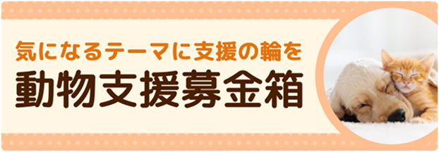 気になるテーマに支援の輪を 動物支援募金箱