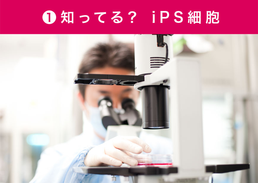知ってる? iPS細胞