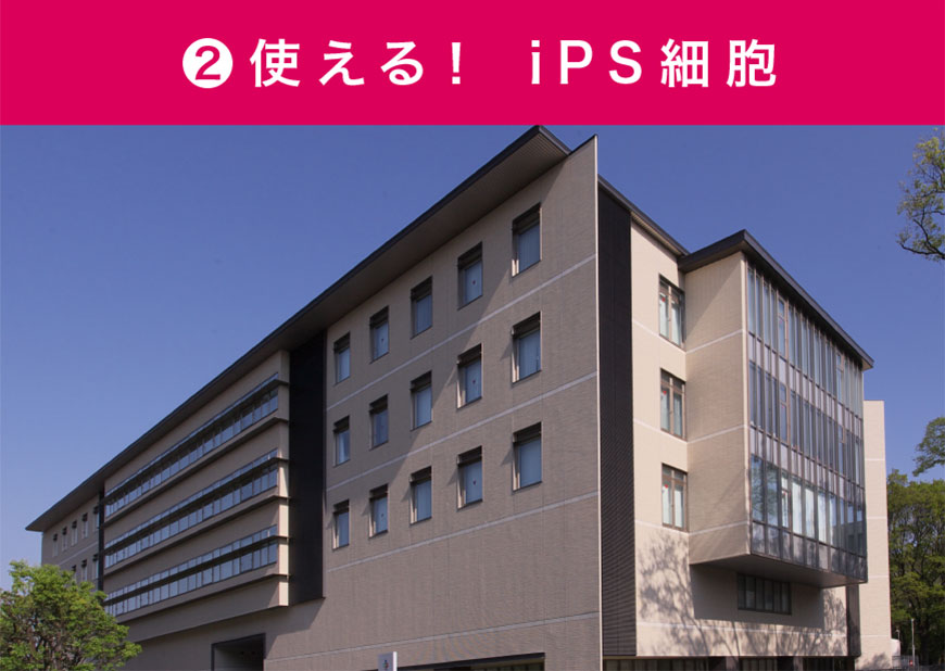 使える! iPS細胞