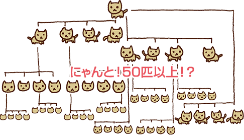 1年間で50匹以上増える猫の図