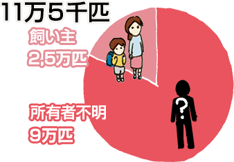 不幸な猫 11万5000匹 (内訳 飼い主から持ち込まれる2.5万 所有者不明9万)の図