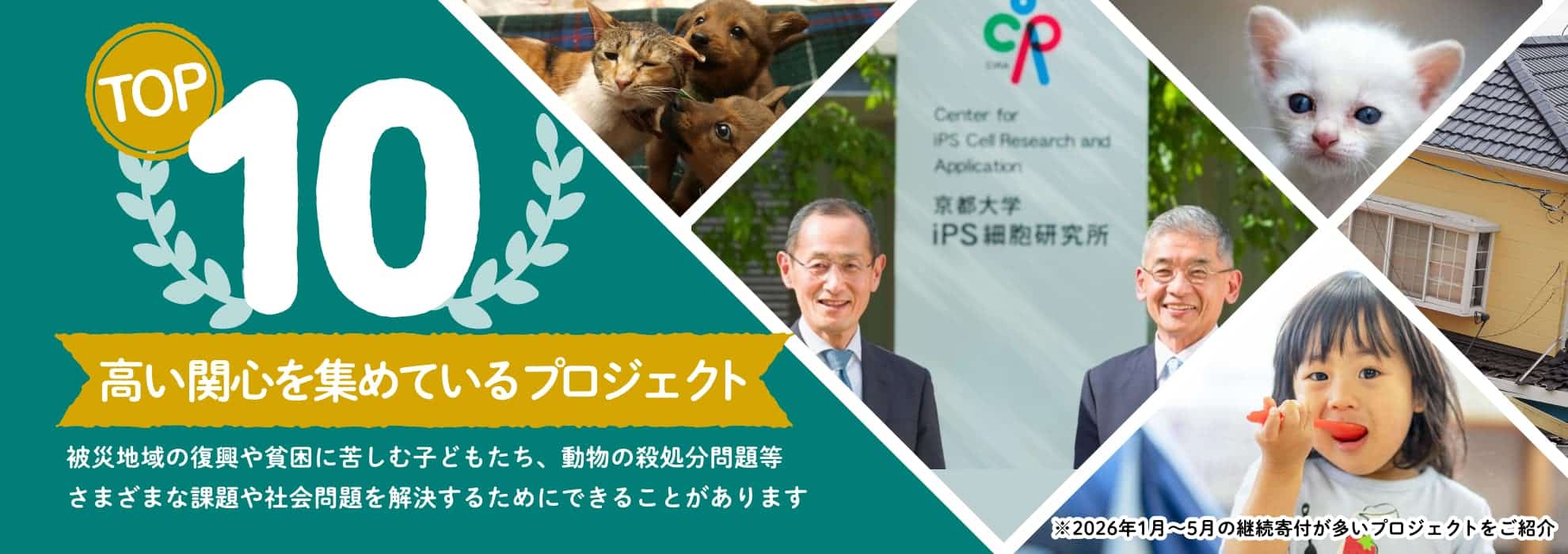 高い関心を集めているプロジェクトTOP10