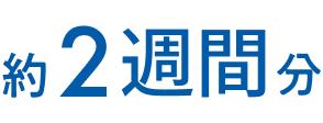 約2週間分