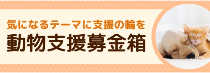 動物支援募金箱