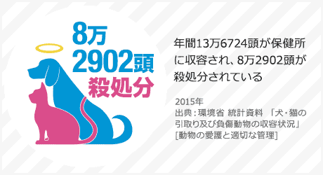 日本のペットの殺処分数