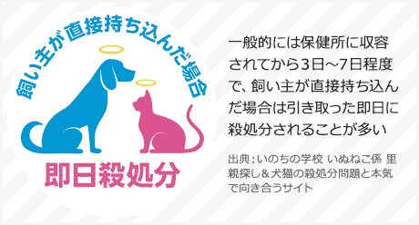 飼い主が直接持ち込んだ場合