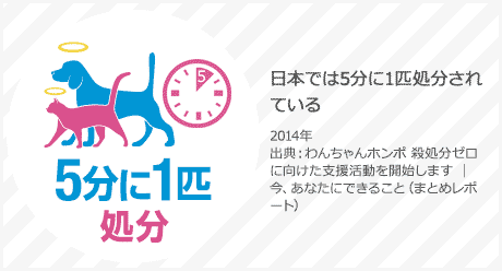 日本では5分に1度処分されている