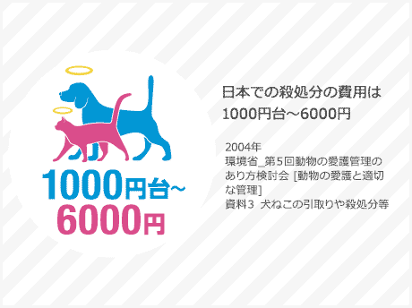 日本での殺処分の費用