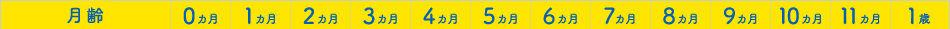 月齢　0カ月　1カ月　2カ月　3カ月　4カ月　5カ月　6カ月　7カ月　8カ月　9カ月　10カ月　11カ月　1歳
