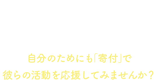 もし自分が被災者になった時、NPOやSEMAはきっと力になってくれる。自分のためにも「寄付」で彼らの活動を応援してみませんか?