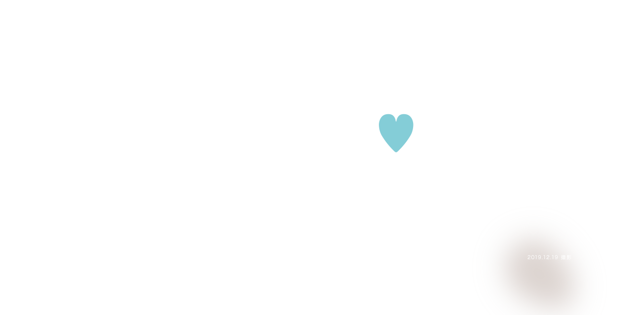 笑顔を未来へ 建設業 2019.12.19. 岩手県陸前高田市