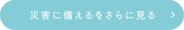 災害に備えるをさらに見る