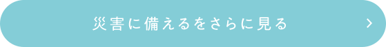 災害に備えるをさらに見る