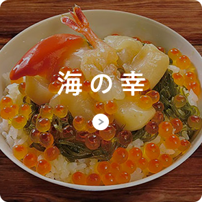 海の幸