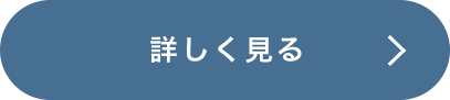 詳しく見る