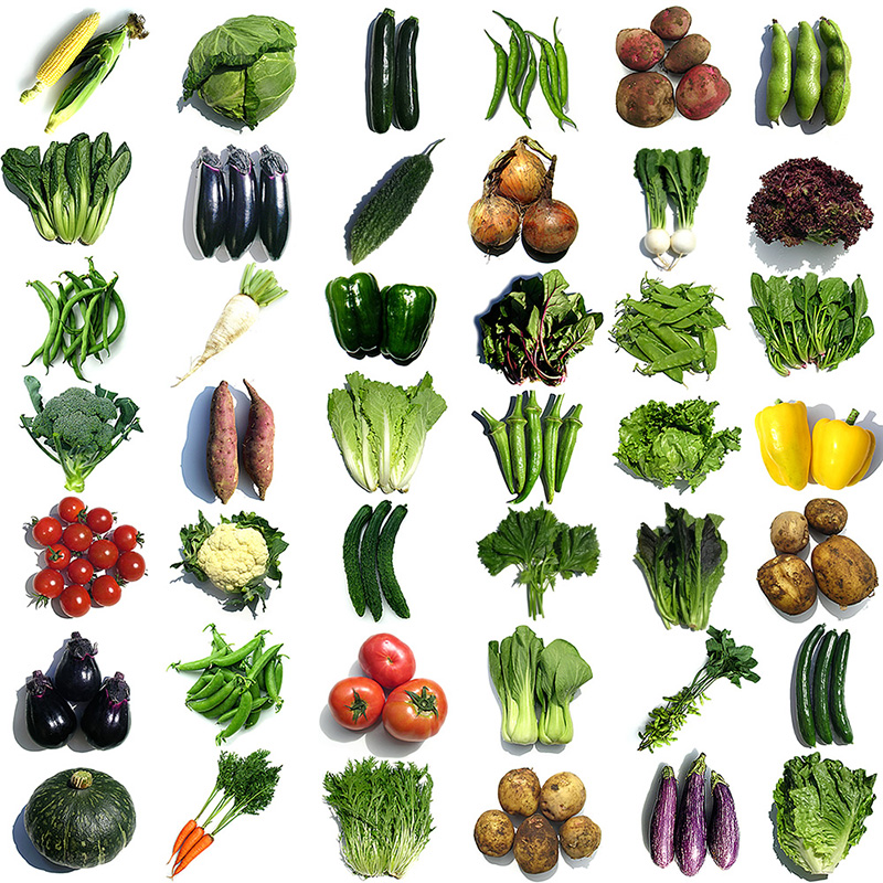 野菜の図鑑web | 野菜の特徴から栄養成分、カロリー、旬、産地、種類、選び方、切り方、保存方法、品種・種類、美味しい選び方・見分け方について紹介