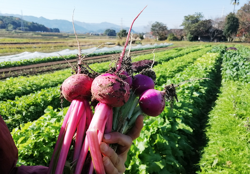 お正月疲れの体に優しい<br>「有機野菜のリセット食」の写真