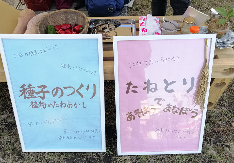 種 タネ が消えると食文化が消える 未来につなげたい大事な種のこと 地球とともに生きる エルマの読みもの エールマーケット Yahoo Japan