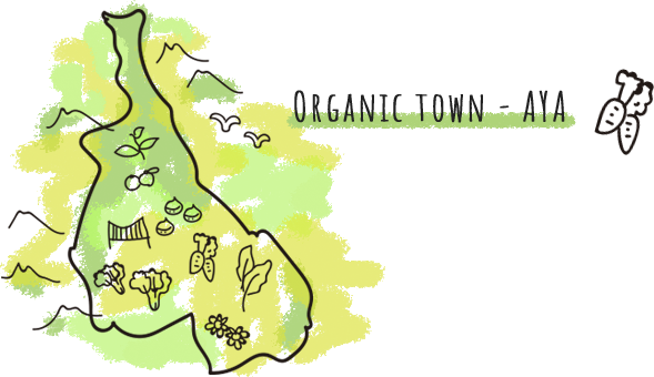 Organic Town - Aya
