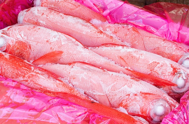 元マグロ船頭がブランド化目指すキンメダイの写真