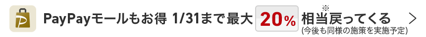 PayPayモールもお得 1月31日まで最大20%相当戻ってくる