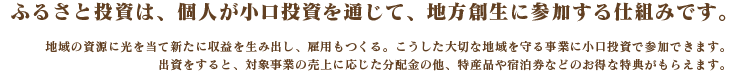 ふるさと投資は、個人が小口投資を通じて、地方創生に参加する仕組みです。