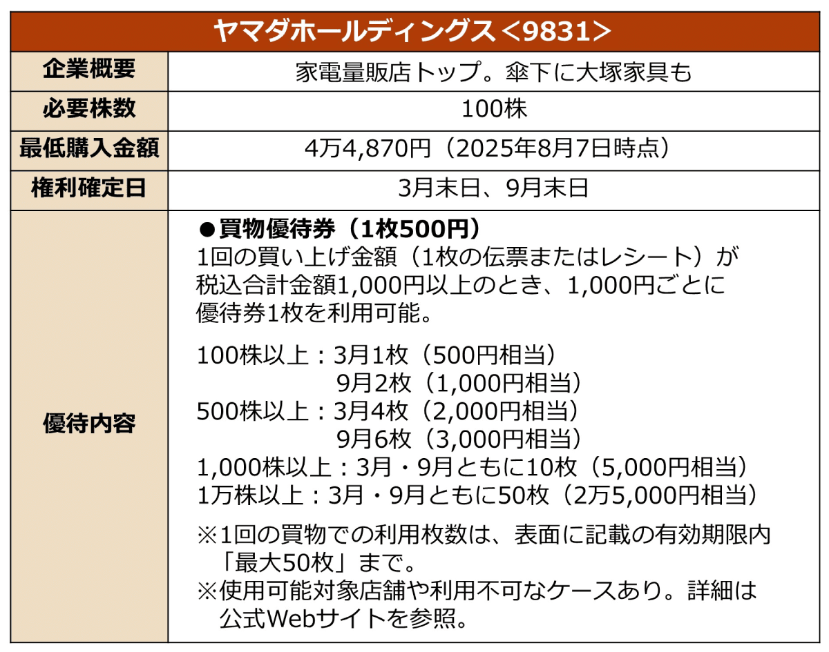 ヤマダホールディングスの株主優待に関する詳細情報