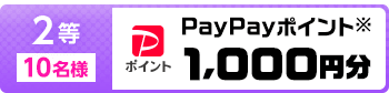 2等 10名様 PayPayポイント※ 1,000円分