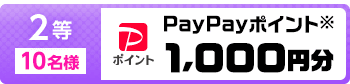 2等 10名様 PayPayポイント※ 1,000円分