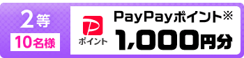 2等 10名様 PayPayポイント※ 1,000円分