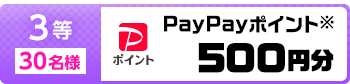 3等 30名様 PayPayポイント※ 500円分