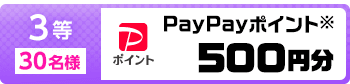 3等 30名様 PayPayポイント※ 500円分