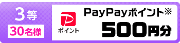 3等 30名様 PayPayポイント※ 500円分