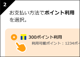 お支払い方法でポイント利用を選択。