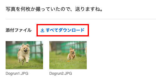 ダウンロード