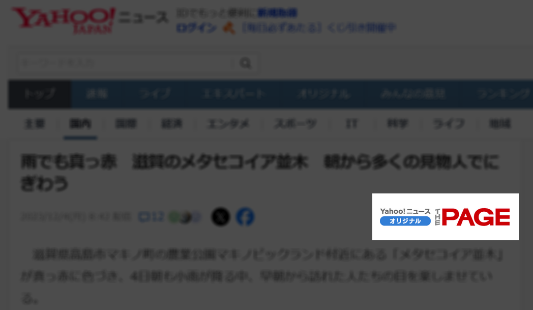 情報提供元は、該当の記事全文ページの右上で確認できます。 ロゴ掲載位置