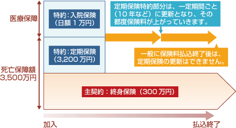 更新型(有期払いタイプ)